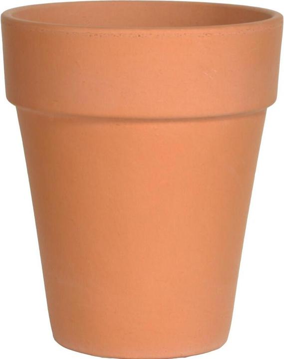 Produktbild Spang Pflanzkübel Antique Classic, rund, 38x46 cm, aus Terracotta in terracotta (39 cm)