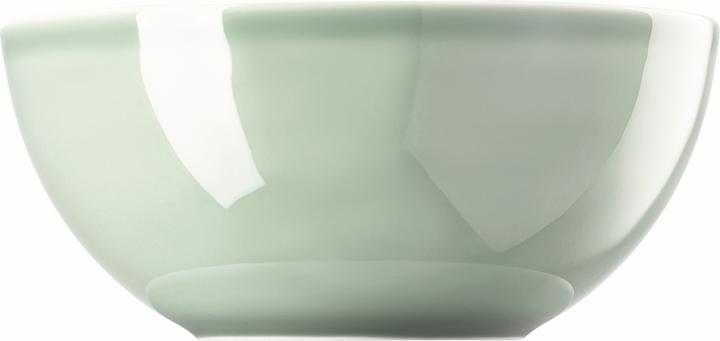 Actual product image Thomas Daily - Moss Green - Bowl 21 cm (20.90 cm, 2 l, 1 x)