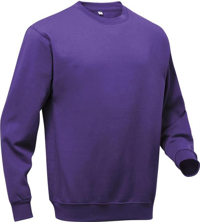 Produktbild Pro RTX Sweatshirt (4XL)