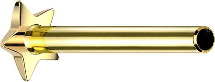 Produktbild Star Piercing Micro Threadless Labret-Stab Stern vergoldet (Titan G23, ohne Messing)