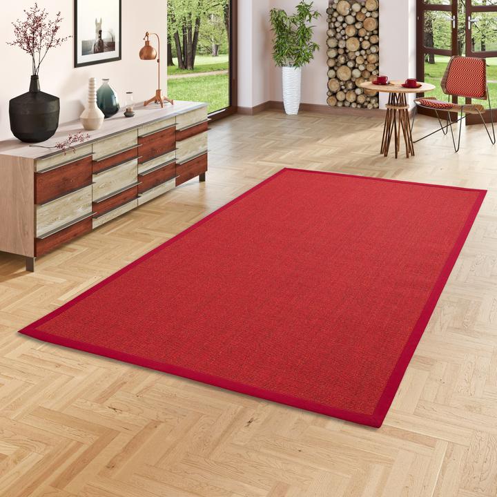Image du produit Pergamon Tapis en sisal Natura Classic avec bordure (60 x 110 cm)