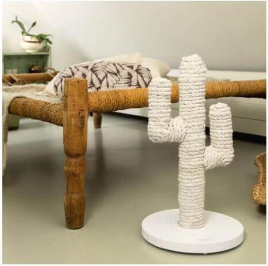 Actual product image Designed by Lotte Cactus (60 cm, White)