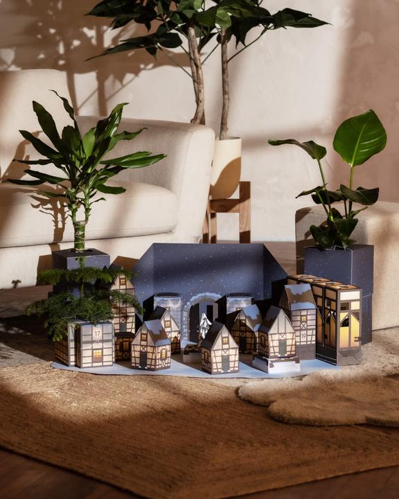 Produktbild feey Pflanzen Adventskalender (60 cm)