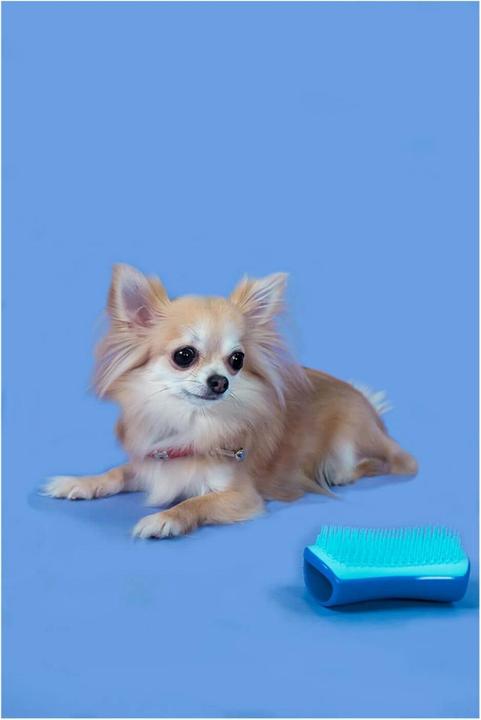 Actual product image Tangle Teezer Pet Teezer Detangling Small Blue (Dog, 1 ml)
