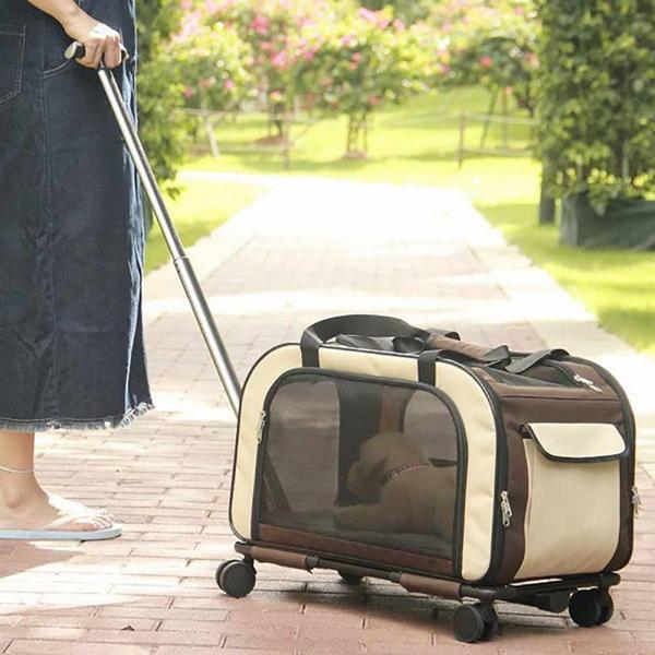 Produktbild Nobby Transportwagen (Katze, Hund, Waschbar, Faltbar)