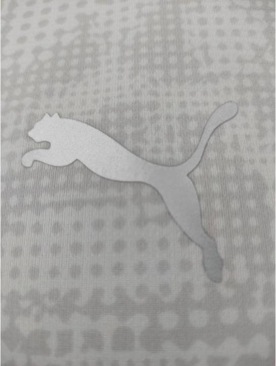Actual product image Puma teamCUP Training Jersey (XL)