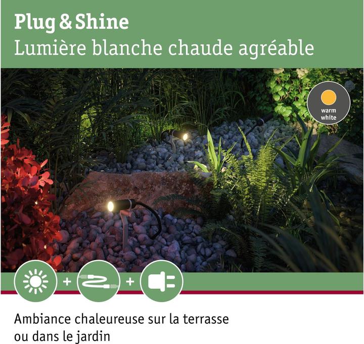 Actual product image Paulmann Plug & Shine Plantin (200 lm, IP65)