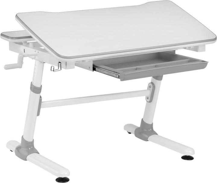 Immagine prodotto Ergo Office Scrivania (98 x 50 x 80 cm)