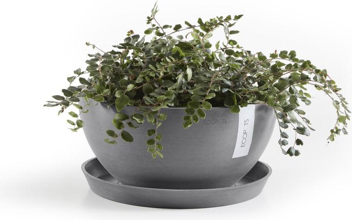 Actual product image Ecopots Saucer Round