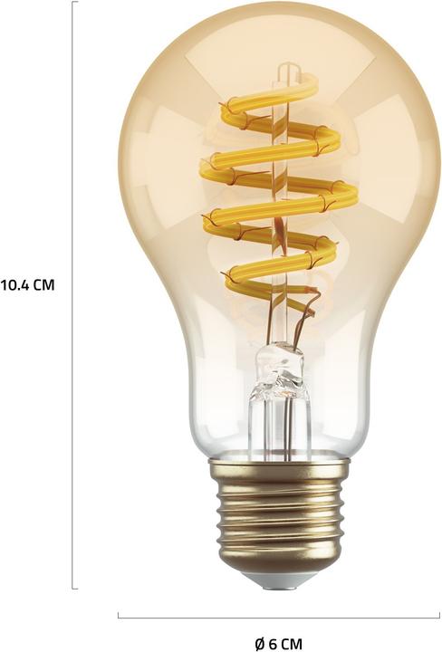 Label énergétique Hombli Ampoule à filament CCT E27 A60 (E27, 5.50 W, 300 lm, 1 x, G)