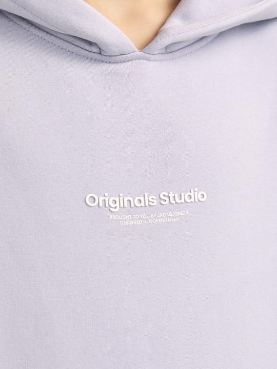 Immagine prodotto Jack & Jones Jorvesterbro Sweat Hood Noos Jnr (176)