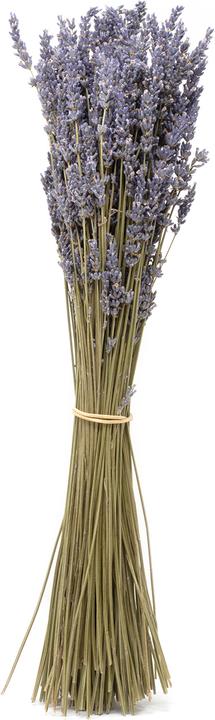 Actual product image Flowerbox bunch lavender - Lavandula