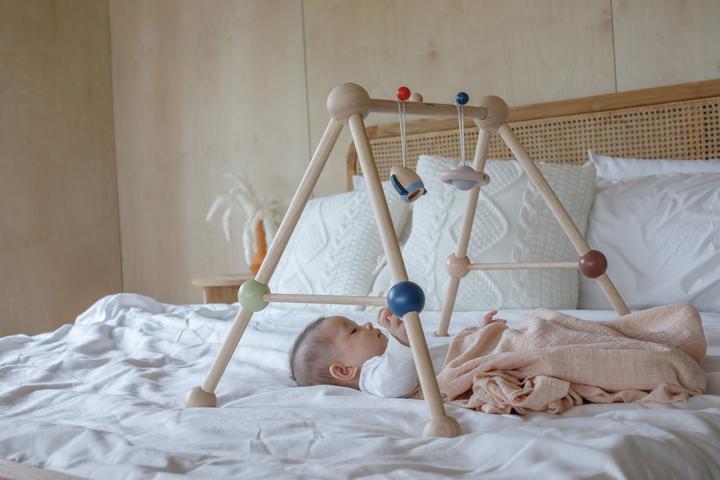 Productafbeelding Plantoys Baby Gym