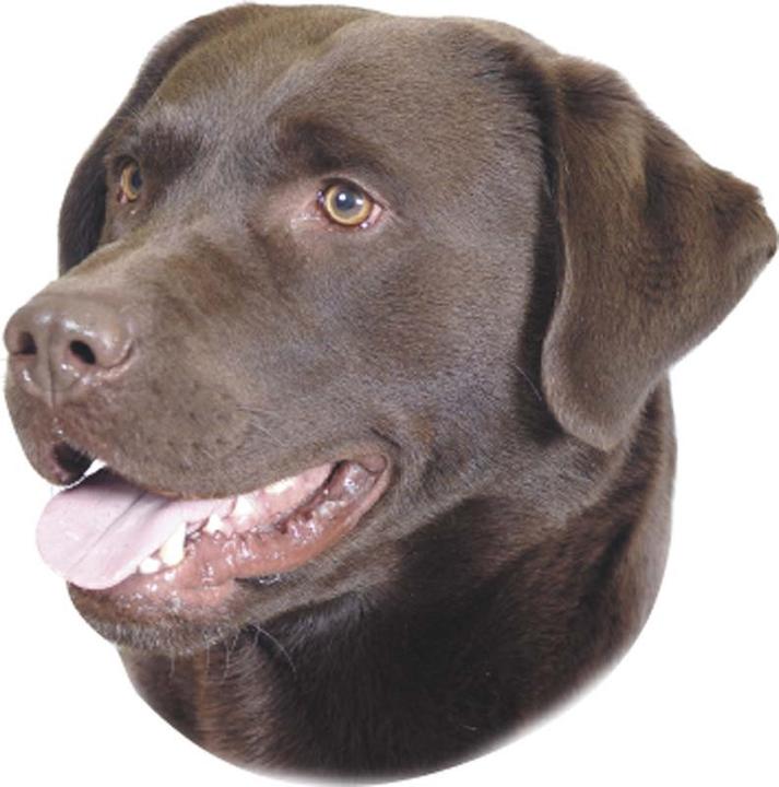 Actual product image Nobby Sticker Labrador brown