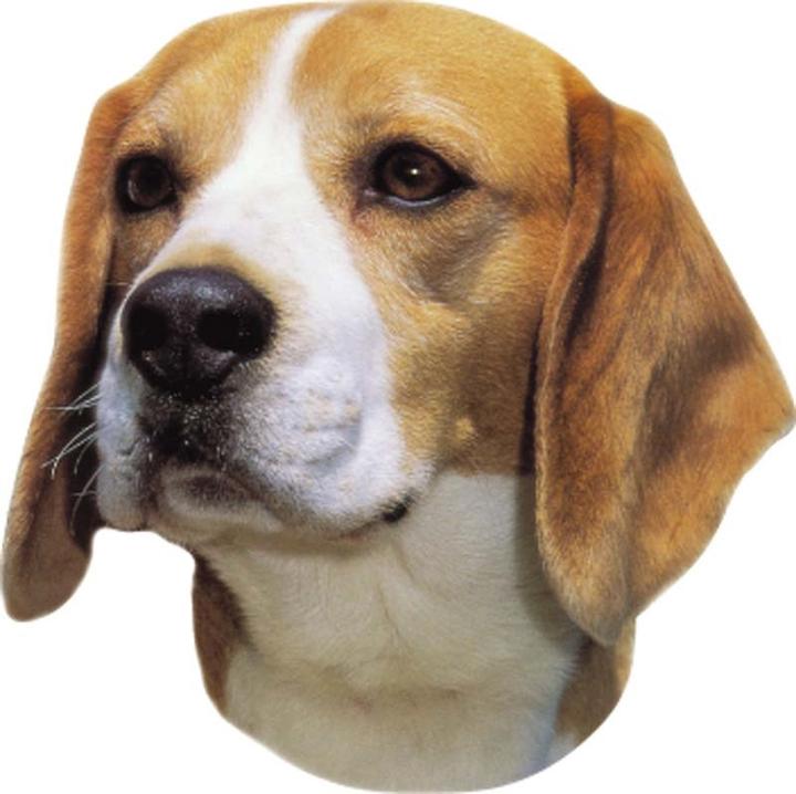 Image du produit Nobby Autocollant Beagle