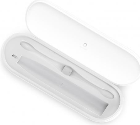 Actual product image Clean Travel Case BB01 (Toothbrush case)
