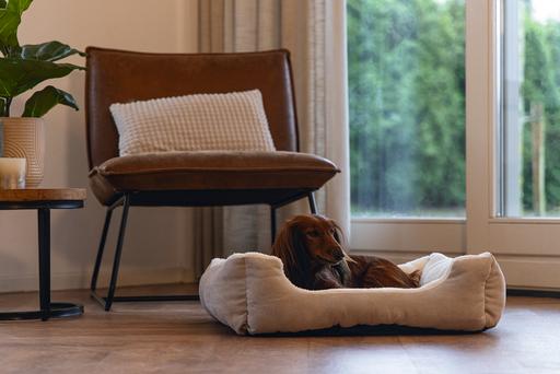 Image du produit Beeztees Bz Lit Pour Chien Mogina Gris 55x50 (Chien)