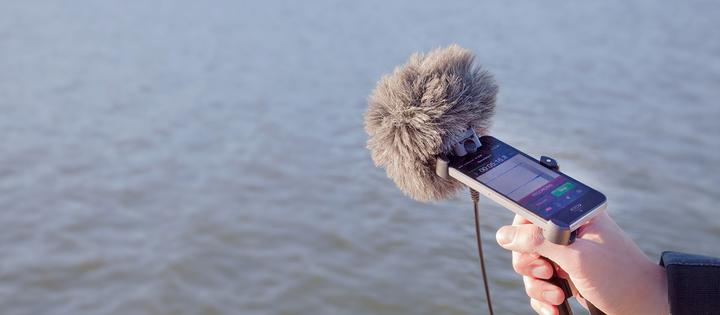 Actual product image RØDE The Dead Kittens (Skins)