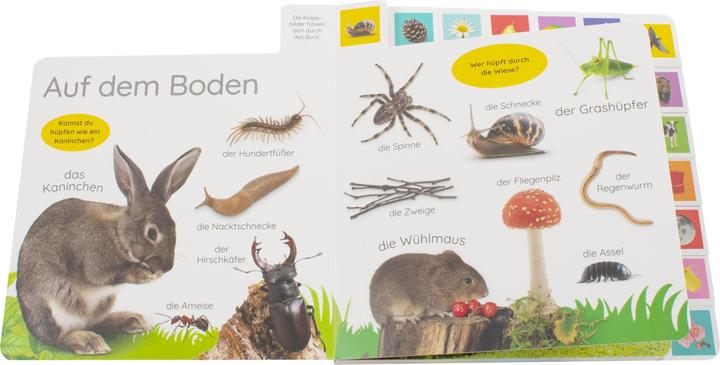 Actual product image Erstes Lernen. In der Natur (German, DK Verlag - Kids, 2021)