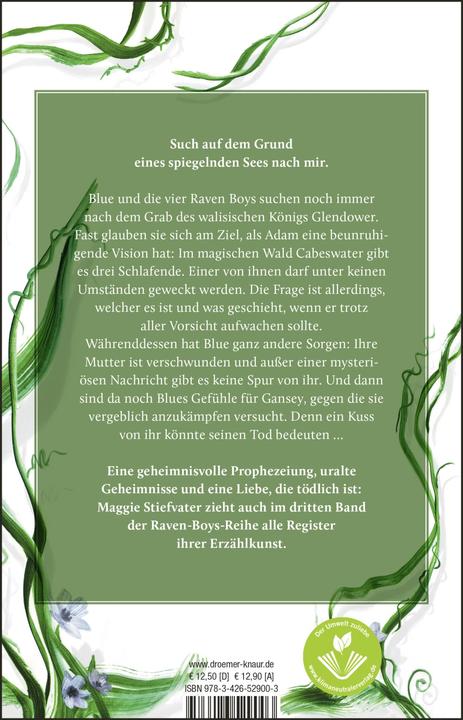 Actual product image Was die Spiegel wissen (German, Jessika Komina, Sandra Knuffinke, Maggie Stepfather, 2022)