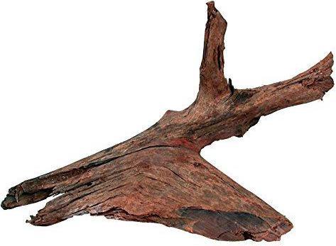 Image du produit Zolux Racine de palétuvier 25-40 cm (Grotte, autres éléments)
