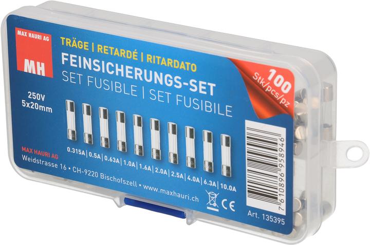 Image du produit Max Hauri Fine-wire fuse set (Microfusible, 10 A, Paresseux)