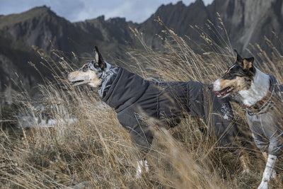Image du produit Hurtta Extreme (50, Manteau pour chien)