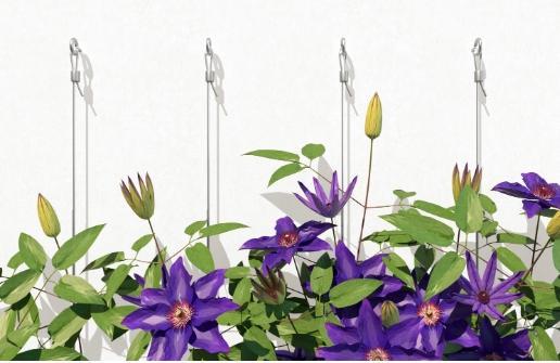 Produktbild Fischer Kühlkörper SK47 150mm (10 Stk.)