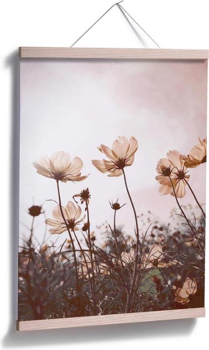 Produktbild Trenddeko Wilde Wiese (60 x 80 cm)