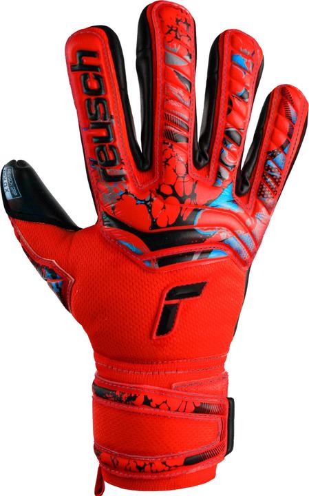 Actual product image Reusch Attrakt Gold X (5.5)