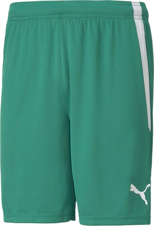 Actual product image Puma teamLIGA Shorts-704924 (XL)