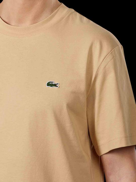 Image du produit Lacoste TH7318 (L)