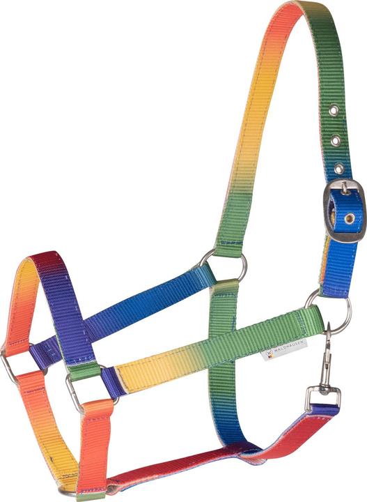 Waldhausen Halfter Regenbogen