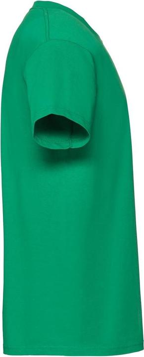Actual product image Fruit of the Loom Mens Iconic Premium Ringspun Cotton T-Shirt (XXL)