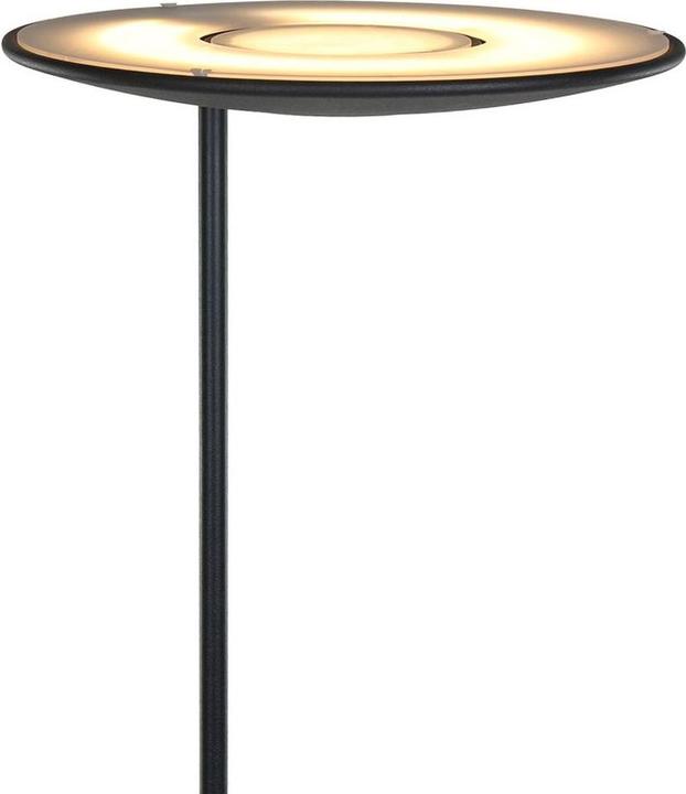 Immagine prodotto Steinhauer Zenith (2200 lm)