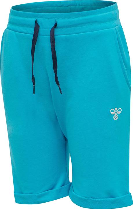 hummel Flicker Shorts