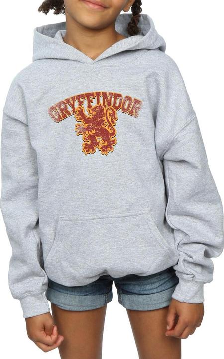 Actual product image Girls Gryffindor Sport Emblem Hoodie (140, 146)