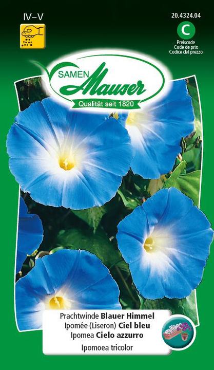 Image du produit Samen Mauser Ciel bleu de Pompom (Graines de plantes)