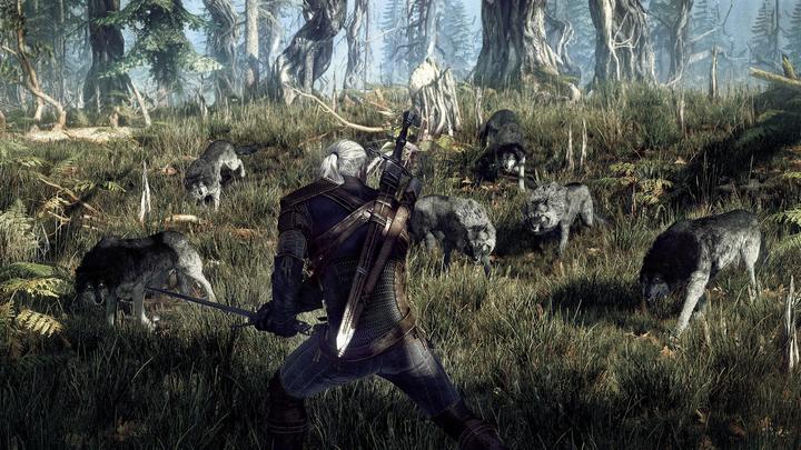 Image du produit The Witcher 3 : Wild Hunt