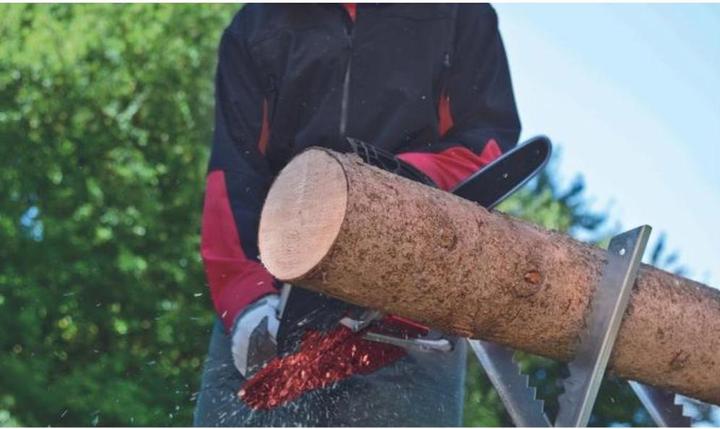 Actual product image Einhell GC-PC 2040 I (Petrol chain saw)
