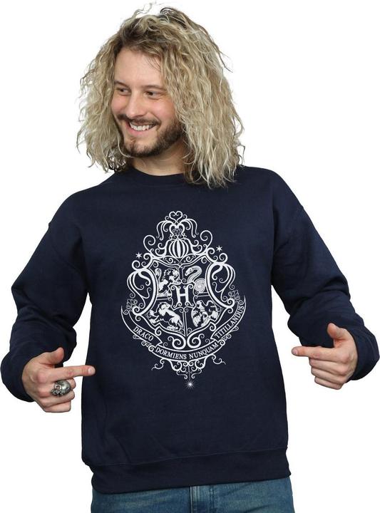 Actual product image Mens Hogwarts Draco Dormiens Crest Sweatshirt (S)
