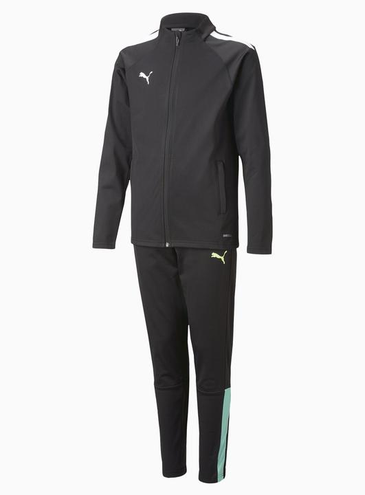 Actual product image Puma teamLIGA Tracksuit Jr (140)