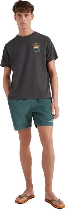 Immagine prodotto O'Neill shorts camorro cord (XL)