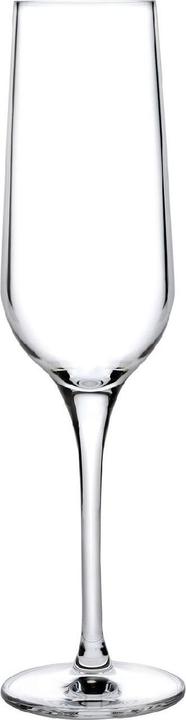 Nude Glass Refine (20000 cl, 2 Glasses, Champagne glasses)