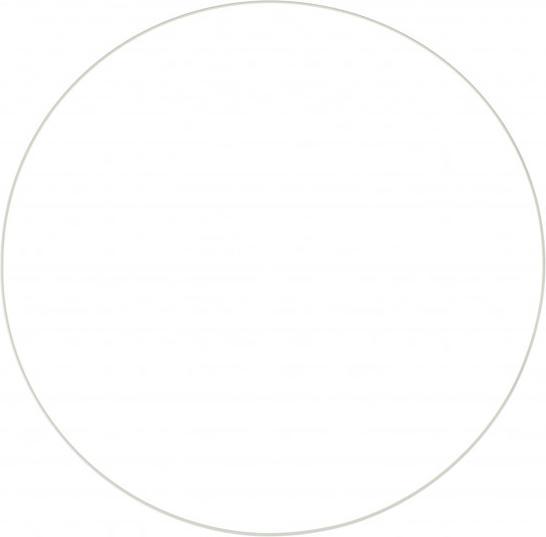 Actual product image Glorex Metal ring white