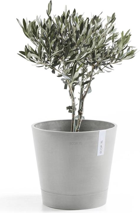 Produktbild Ecopots Venice (30 cm)