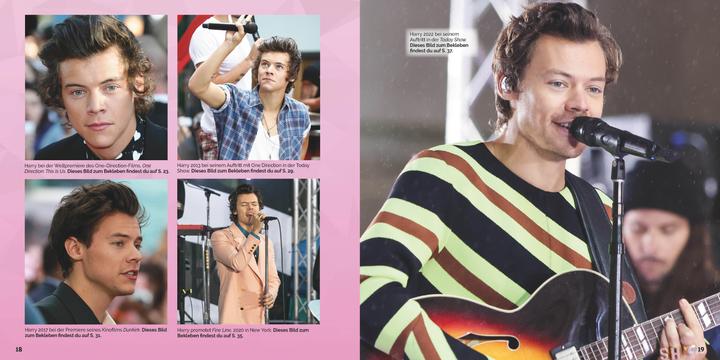 Actual product image Tribute Edition Harry Styles mosaic sticker book