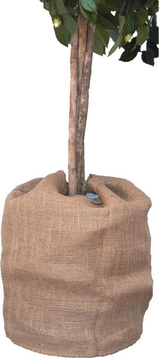 Colibri Sac en jute