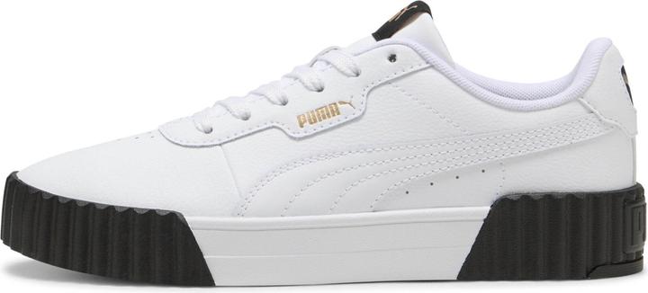 Puma Carina 3.0