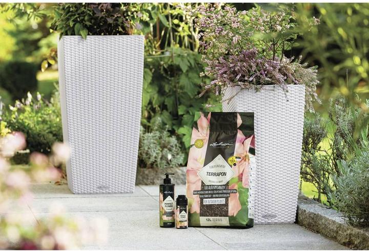 Image du produit Lechuza Cottage Cubico (29.50 cm)